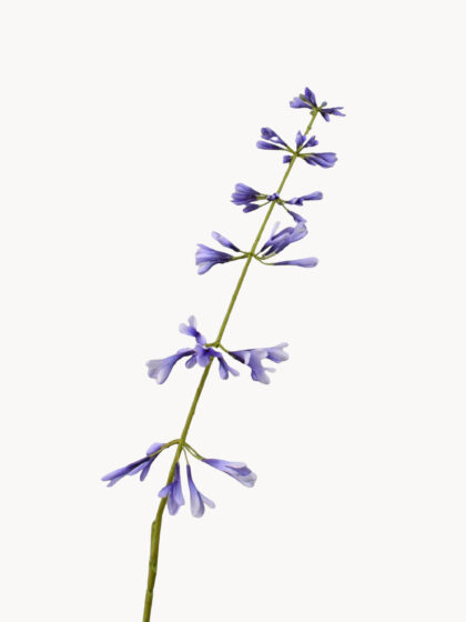 Sztuczny kwiat Salvia